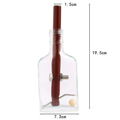 Creative bottle high difficulty intelligence unlocking toy